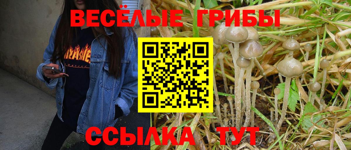 Галлюциногенные грибы мухоморы Куйбышев